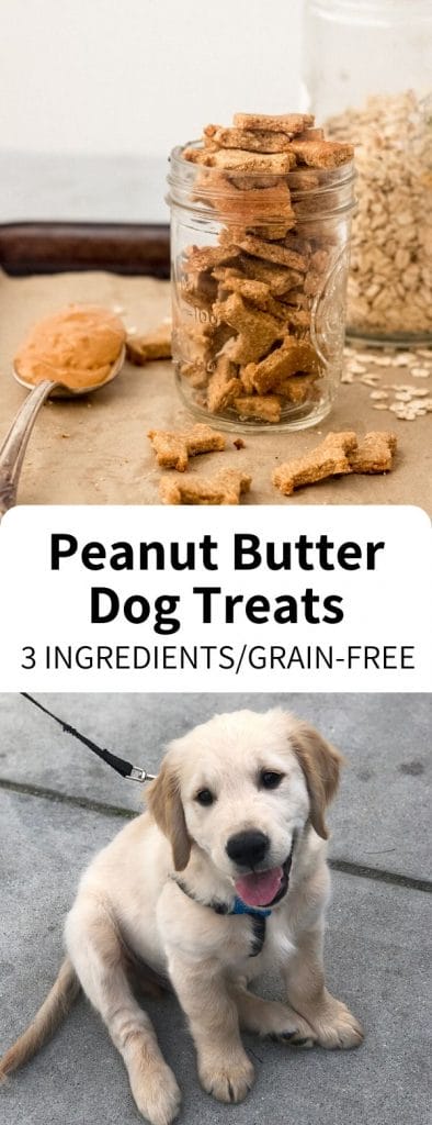 Homemade Dog Treats made easy with just 3 ingredients, ready in 20 minutes! Wheat free and full of peanut butter, your dog or puppy will love these simple snacks.Â #dog #treat #puffin #homemade #puppy #dogtreat #grainfree #peanutbutter #easy #vegan #snack