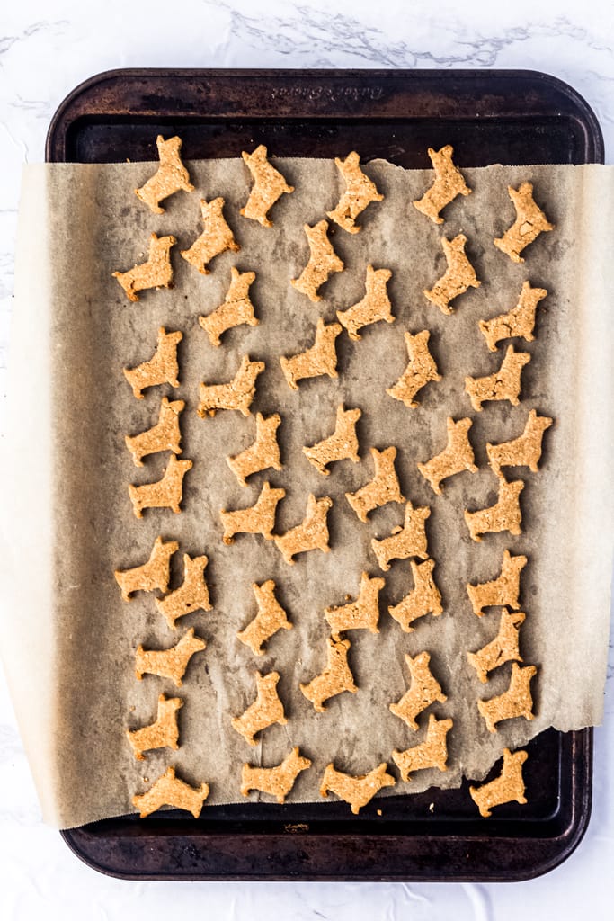 multiple peanut butter dog treats in the shape of dogs