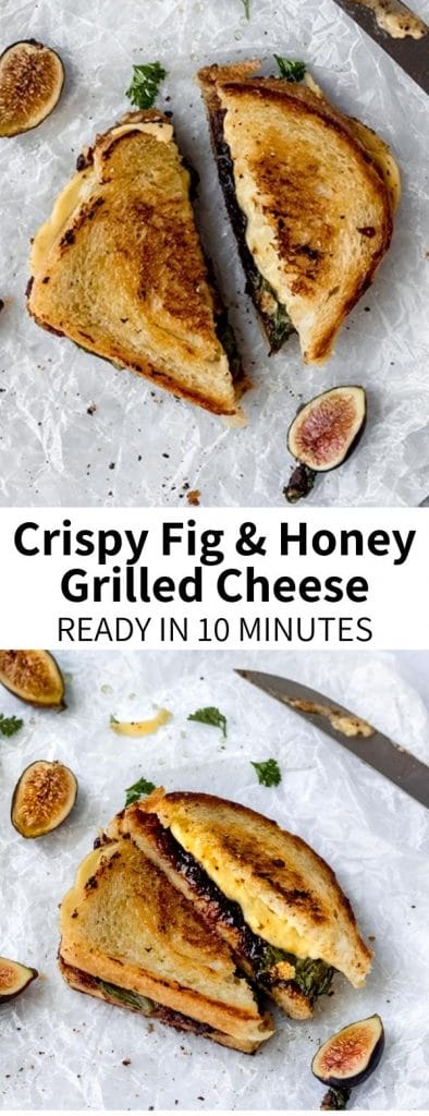 This Fig and Honey Grilled Cheese is a grown-up spin on a classic childhood favorite! This sandwich with crispy sourdough bread lined with sweet fig jam, sticky honey (or agave), and melty vegan cheese will be your new favorite lunch!