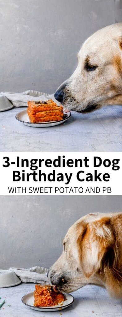 This Homemade Dog Birthday Cake Recipe is made with sweet potatoes, brown rice, and peanut butter! It's flour-free and a great special treat for your furry friend on their special day.Â 